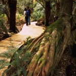Great Short Walks - Evercreech Forest Reserve